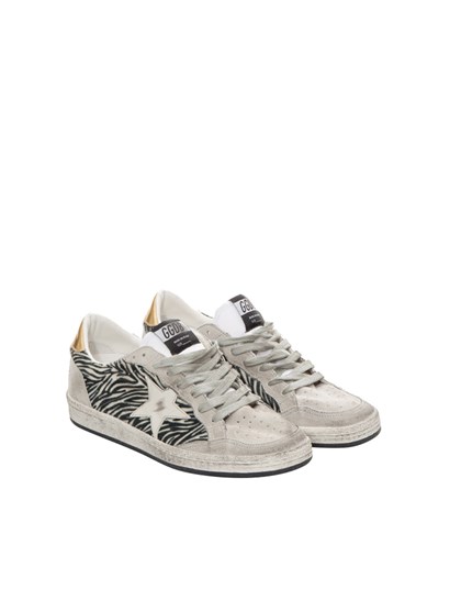 golden goose zebrate